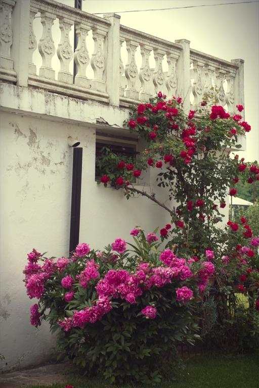 Bed & Breakfast Il Forno Dal 1922