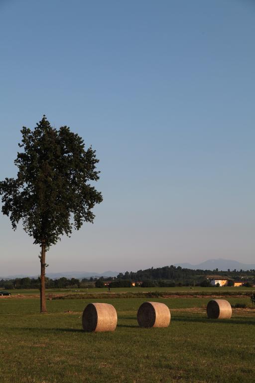 Il Forno Dal 1922 Bed & Breakfast