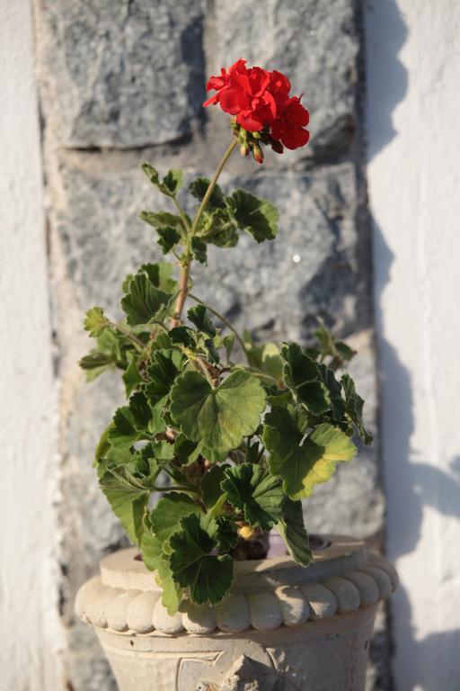 Bed & Breakfast Il Forno Dal 1922 Bene Vagienna
